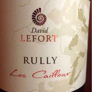 Les Cailloux - David Lefort - David Lefort 