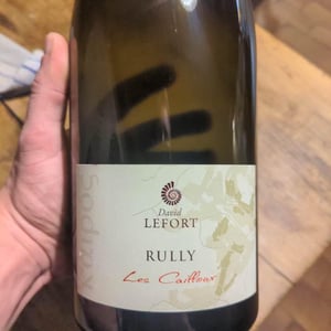 Les Cailloux - David Lefort - David Lefort 