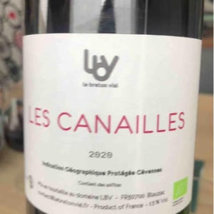 Les Canailles - Le Breton Vial - Julie Le Breton & Christophe Vial 