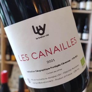 Les Canailles - Le Breton Vial - julie-le-breton-christophe-vial