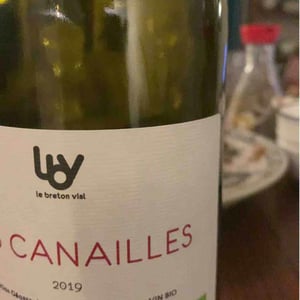 Les Canailles - Le Breton Vial - Julie Le Breton & Christophe Vial 