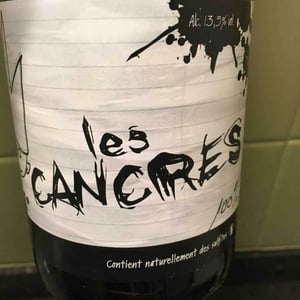 Les Cancres - Julien Flauw - Julien Flauw 