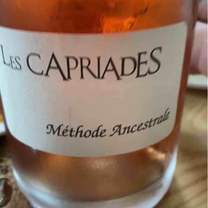 Les Capriades - Les Capriades - pascal-potaire-moses-gadouche