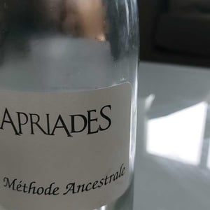 Les Capriades - Les Capriades - pascal-potaire-moses-gadouche