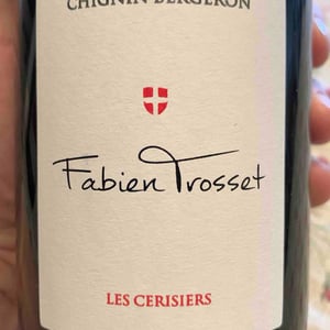 Les Cerisiers - Fabien Trosset - fabien-trosset -2022