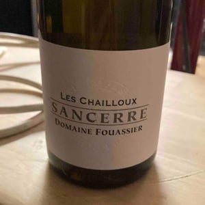 Les Chailloux - Domaine Fouassier - benoit-paul-fouassier -2020