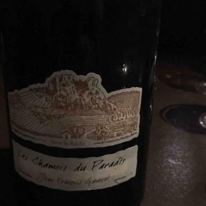 Domaine Ganevat - Anne & Jean-François Ganevat - Les Chamois du Paradis