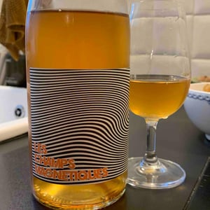 Les Champs Magnetiques 2020 - Val de Combrès - Valentin L. 