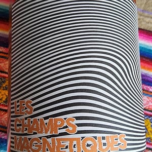 Les Champs Magnetiques 2020 - Val de Combrès - Valentin L. 