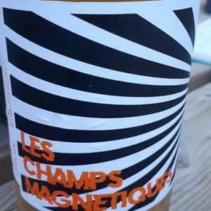 Val de Combrès - Valentin L. - Les Champs Magnetiques 2020