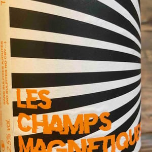 Les Champs Magnetiques 2020 - Val de Combrès - Valentin L. 