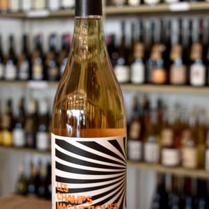 Les Champs Magnetiques 2020 - Val de Combrès - valentin-l