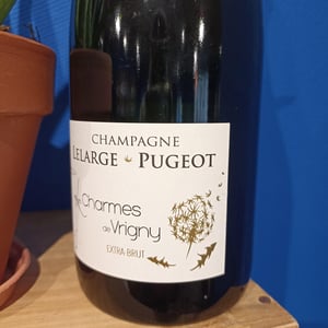 Les charmes de Vrigny - Extra Brut - Champagne Lelarge Pugeot - Famille Lelarge 