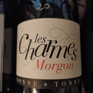 Les Charmes - Domaine de la Bonne Tonne - thomas-anne-laure-agatensi