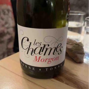 Les Charmes - Domaine de la Bonne Tonne - thomas-anne-laure-agatensi