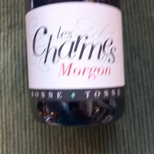 Les Charmes - Domaine de la Bonne Tonne - Thomas & Anne Laure Agatensi 
