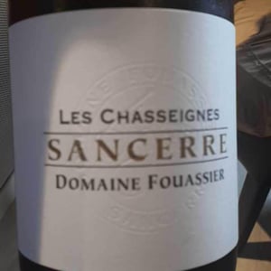 Les Chasseignes - Domaine Fouassier - benoit-paul-fouassier