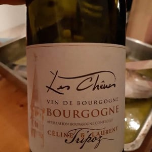 Les Chênes - Domaine Tripoz - Céline & Laurent Tripoz 