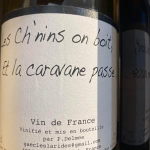 Les Ch'nins On Boit, Et La Caravane Passe - Delmée Martin - Philippe Delmée & Aurélien Martin 