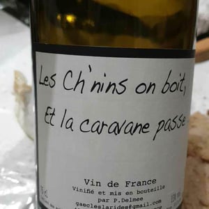 Les Ch'nins On Boit, Et La Caravane Passe - Delmée Martin - Philippe Delmée & Aurélien Martin 