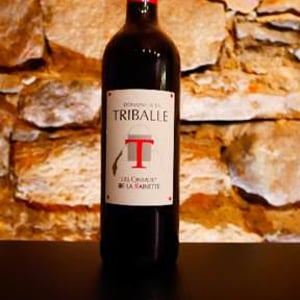 Les Cinsault de la Rainette - Domaine De La Triballe - sabine-olivier-durand -2020