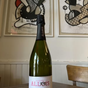 Les Clapotis - Alloïs - François Busi 