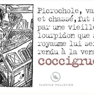 Les Coccigrues 2009