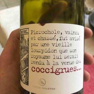 Coccigrues 2016