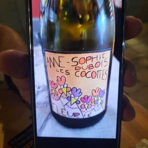 Les Cocottes - Anne-Sophie Dubois - anne-sophie-dubois