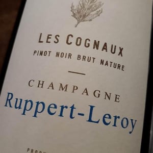 Les Cognaux - Champagne Ruppert-Leroy - emmanuel-ruppert-benedicte-leroy