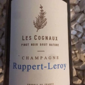 Les Cognaux - Champagne Ruppert-Leroy - emmanuel-ruppert-benedicte-leroy