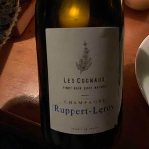 Les Cognaux - Champagne Ruppert-Leroy - emmanuel-ruppert-benedicte-leroy