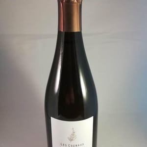 Les Cognaux - Champagne Ruppert-Leroy - emmanuel-ruppert-benedicte-leroy
