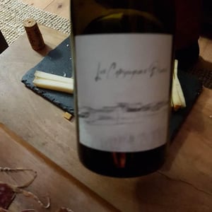 Les Compagnons blancs - Domaine Des Vignes Rouges - severine-raphael-dubois