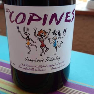 Tribouley - Jean-Louis Tribouley - Les Copines
