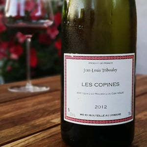 Tribouley - Jean-Louis Tribouley - Les Copines