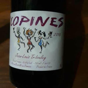 Tribouley - Jean-Louis Tribouley - Les Copines