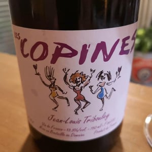 Tribouley - Jean-Louis Tribouley - Les Copines