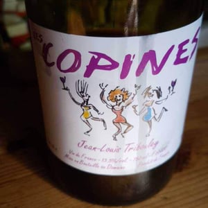 Tribouley - Jean-Louis Tribouley - Les Copines