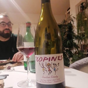 Les Copines - Tribouley - jean-louis-tribouley