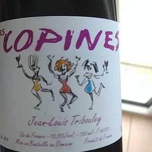 Tribouley - Jean-Louis Tribouley - Les Copines