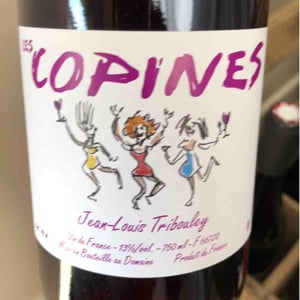 Tribouley - Jean-Louis Tribouley - Les Copines