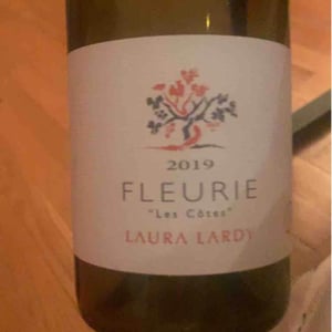 Les Côtes - Domaine Laura Lardy - Laura Lardy 