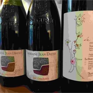 Les Couchants - Domaine Jean David - jean-luc-auffret-martine-jean-david