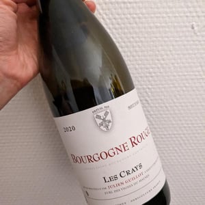 Clos des Vignes du Maynes - Julien Guillot - Les Crays