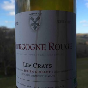 Clos des Vignes du Maynes - Julien Guillot - Les Crays