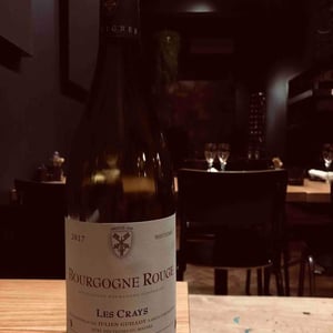 Clos des Vignes du Maynes - Julien Guillot - Les Crays