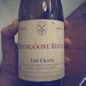 Clos des Vignes du Maynes - Julien Guillot - Les Crays
