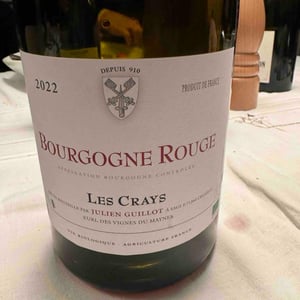 Clos des Vignes du Maynes - Julien Guillot - Les Crays