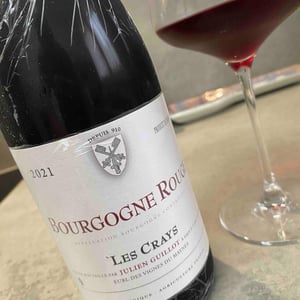 Clos des Vignes du Maynes - Julien Guillot - Les Crays